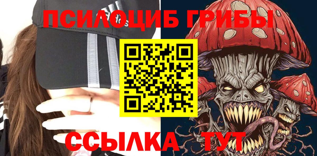 Псилоцибиновые грибы GOLDEN TEACHER Торжок